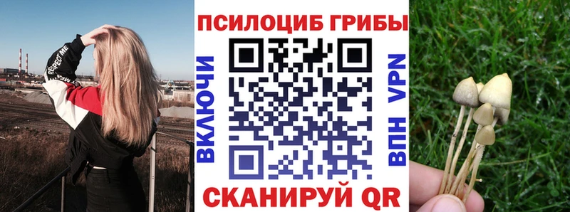 Галлюциногенные грибы Cubensis  цены   Альметьевск 