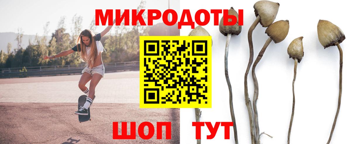 Галлюциногенные грибы MAGIC MUSHROOMS  Вход с VPN  Альметьевск  Псилоцибиновые грибы Magic Shrooms 
