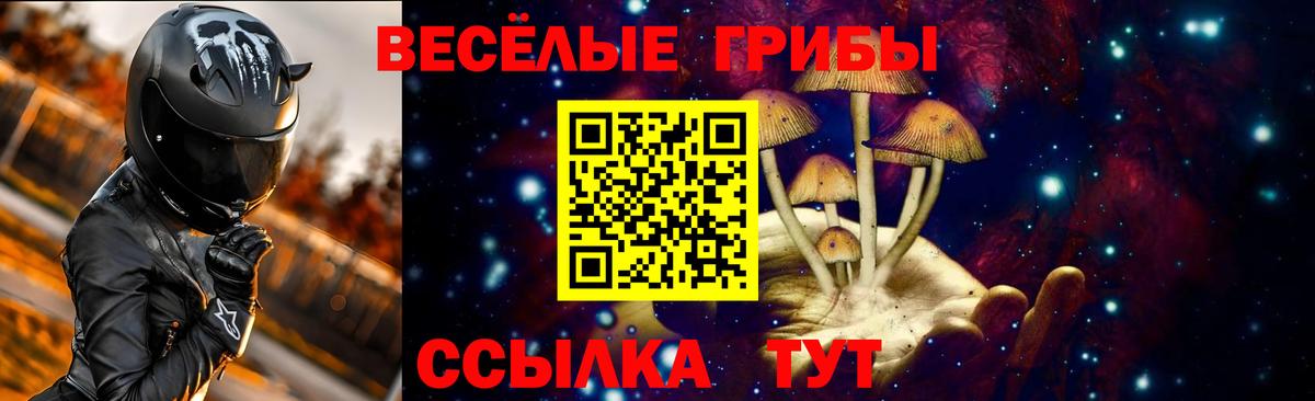 Псилоцибиновые грибы Psilocybine cubensis Альметьевск